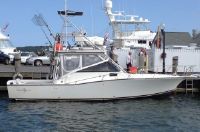 Albemarle 320 Express Fisherman (Diesel)