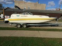 Splendor Cat Platinum 24