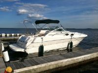 Sea Ray 270 Sundancer Trailer
