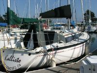 Dufour 3800