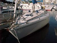 Scampi Sloop