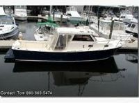 Activa Marine Sea Pony 31