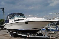 Campion 290 Victoria Se