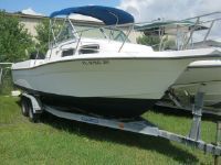 Celebrity 230 Fish Hawk