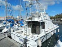 Bertram Trojan 10,80