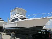 Blackfin 33 Convertible