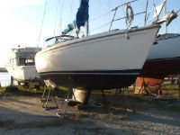 Catalina Wing Keel