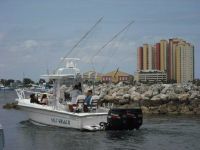 Salt Shaker 300 Cc/Cuddy