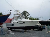 Aquasport 290 Xp Tournament