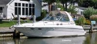 31 Sea Ray Sundancer