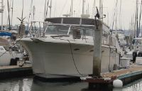 Californian Veneti Express Cruiser