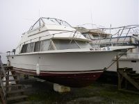 Carver Yachts 28&#39;