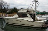 Trojan 36 Convertible Sportfish