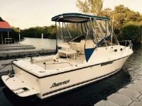 Shamrock 26 Walkaround