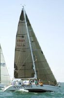 Tripp 37