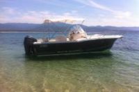 White Shark 245 Open