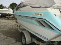 Thompson Carrara 2000