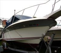 Wellcraft Walk Around 230Wa I/O