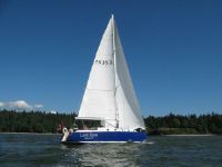 Hollins Sloop