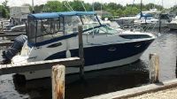 Bayliner 255 Sunbridge