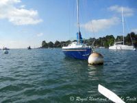 Master Marine Eyghteme 24