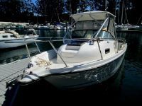 Bayliner 2052 Trophy Wa