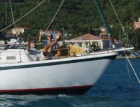 Morgan Charter Business "Cheers"