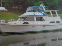 Golden Star Sundeck Trawler