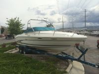Sea Ray Overnighter 240
