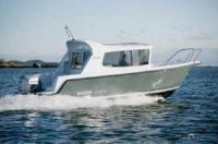 Seastar 26