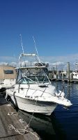 Robalo R235 Walk Around