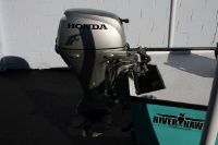 River Hawk Kingfisher