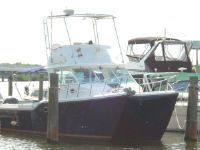 Baha Cruisers King Cat