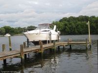 Bayliner Cierra 2855 Dx Sunbridge