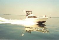 Trojan 36 Convertible B0113