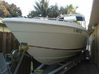 Wellcraft 302 Scarab Sport (Ready To Go)