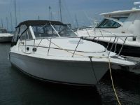 Carver Yachts 286 Special Edition