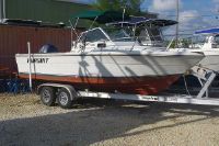 Pursuit Tiara 22
