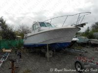 Eider Marine Fish Rover 760