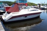 Regal 260