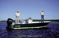 Action Crafy Coastal Bay 1910