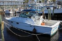 Aquasport Tournament Master 310