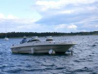 Triumph 19' Dual Console