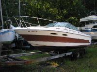 Sea Ray 250 Sea Ray Cuddy