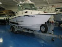 Seaswirl Striper 2101 Walkaround I/O