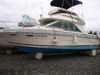 Sea Ray 265 Sedan Bridge