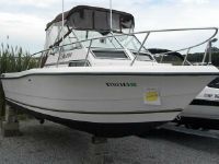 Sea-Pro 201 Walk Around