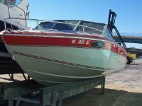 Chris-Craft 210 Scorpion