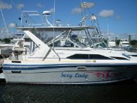 Bayliner Sunbridge