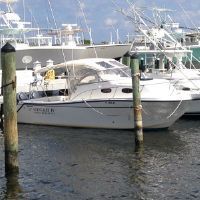 Mako 293 Walk Around Yamaha F-250'S